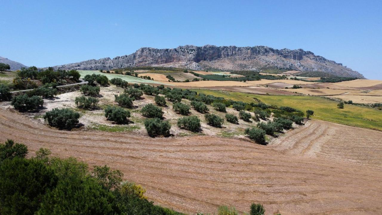 La Posada Del Torcal Villanueva de la Concepcion Bagian luar foto